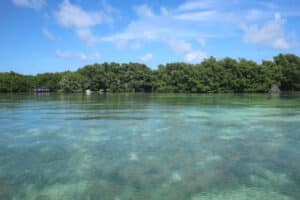 Hol Chan Marine Reserve, where you'll find Shark Ray Alley in Belize